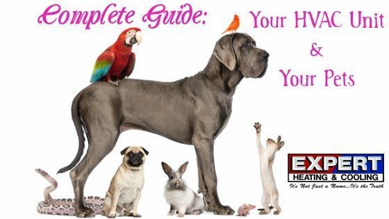 Wyandotte, MI: Complete Guide: Your HVAC Unit & Your Pets